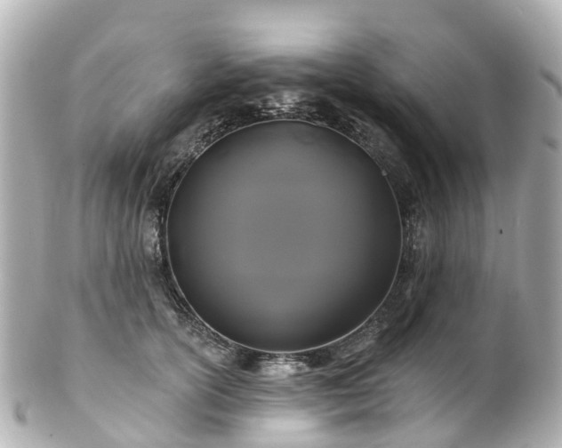 X0000100920754200807011306