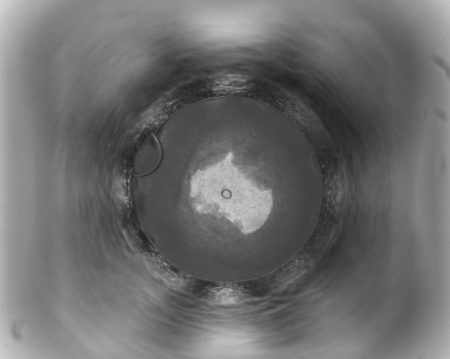 X0000100920755200807011306