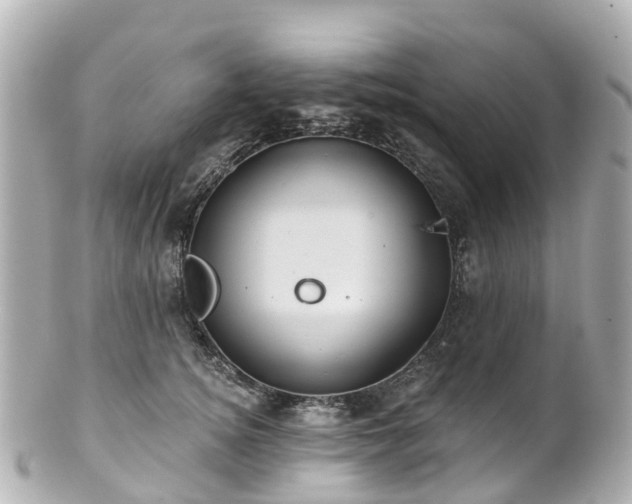 X0000100920756200807011306