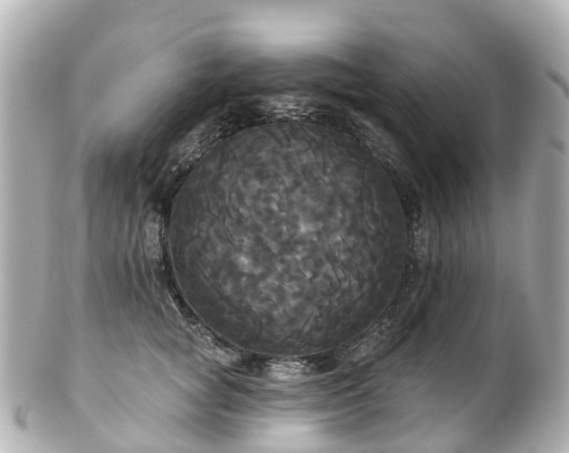 X0000100920757200807011306