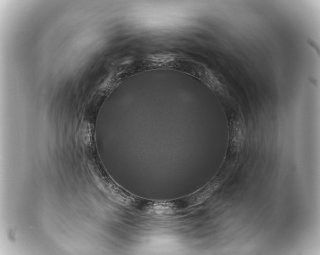 X0000100920758200807011306