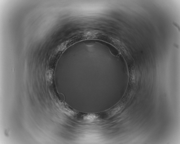 X0000100920759200807011306