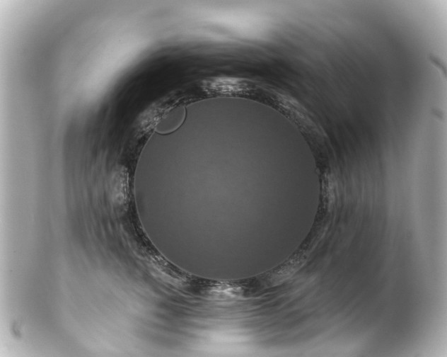 X0000100920760200807011306