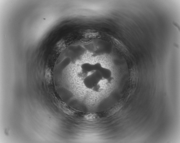 X0000100920761200807011306