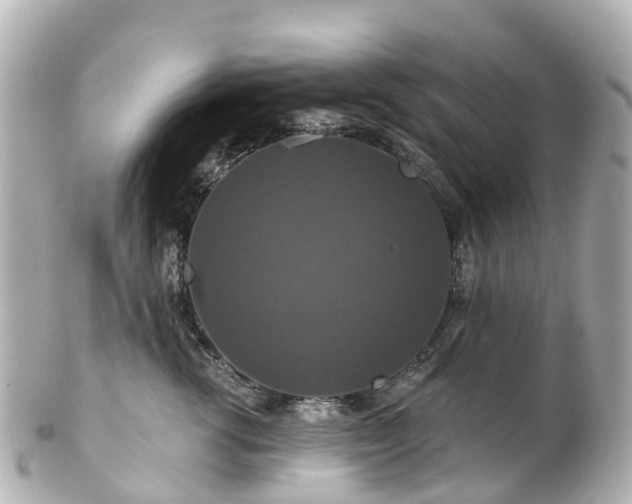 X0000100920762200807011306