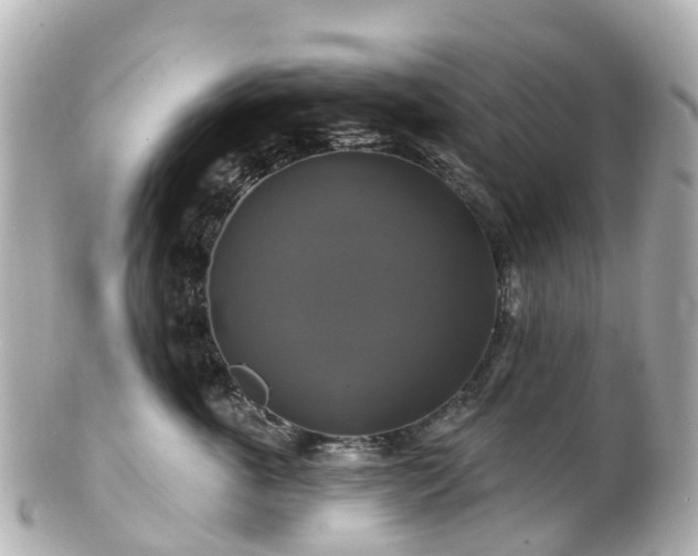 X0000100920763200807011306