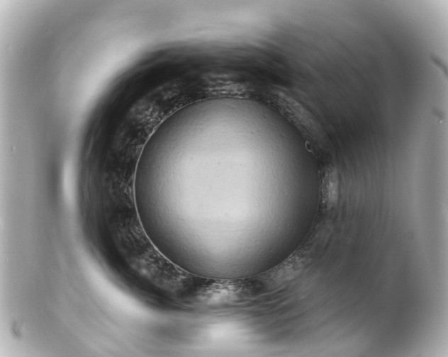 X0000100920764200807011306