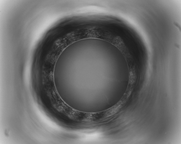 X0000100920765200807011306