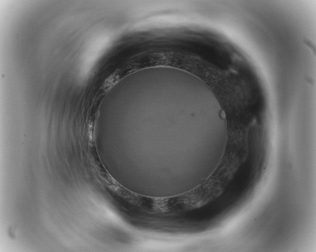 X0000100920766200807011306