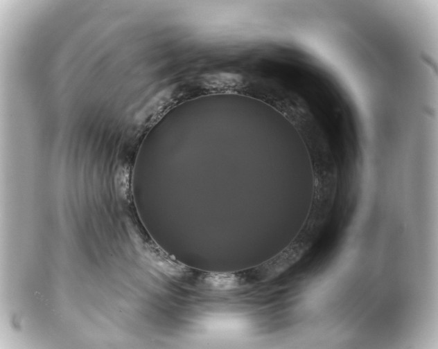 X0000100920767200807011307