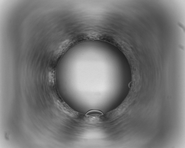 X0000100920768200807011307