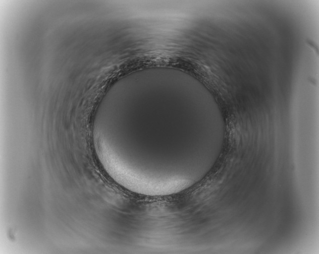 X0000100920769200807011306