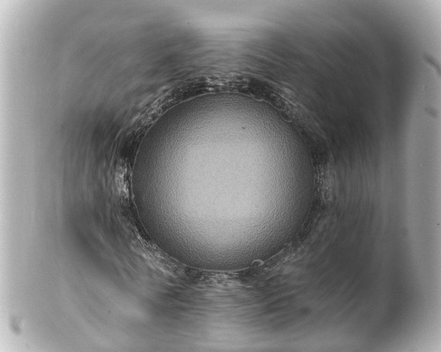 X0000100920770200807011306