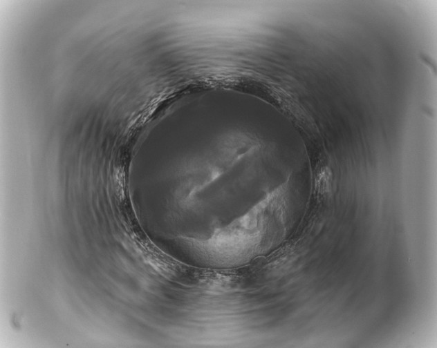 X0000100920772200807011306