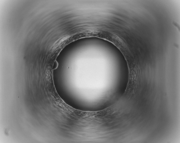 X0000100920773200807011306