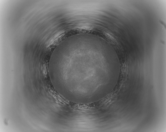 X0000100920774200807011306