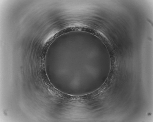 X0000100920775200807011306