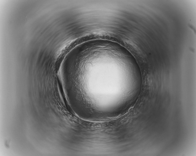 X0000100920776200807011306