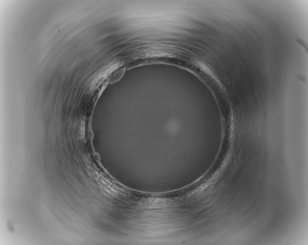 X0000100920777200807011306