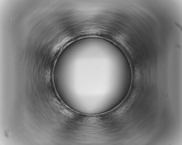 X0000100920778200807011306