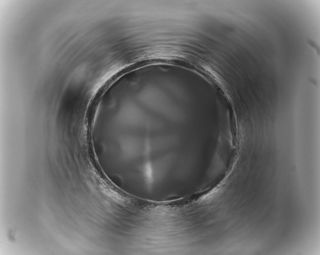 X0000100920779200807011306