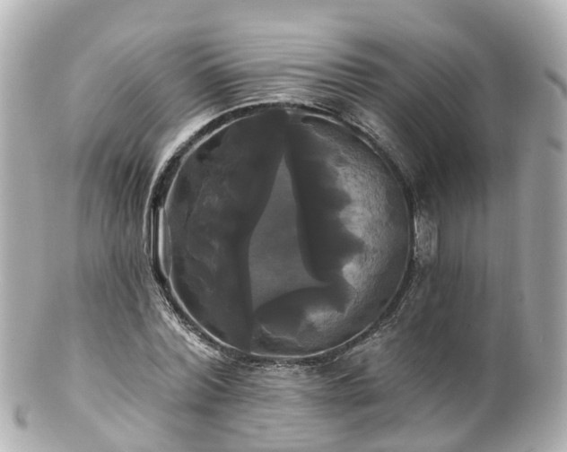 X0000100920780200807011306