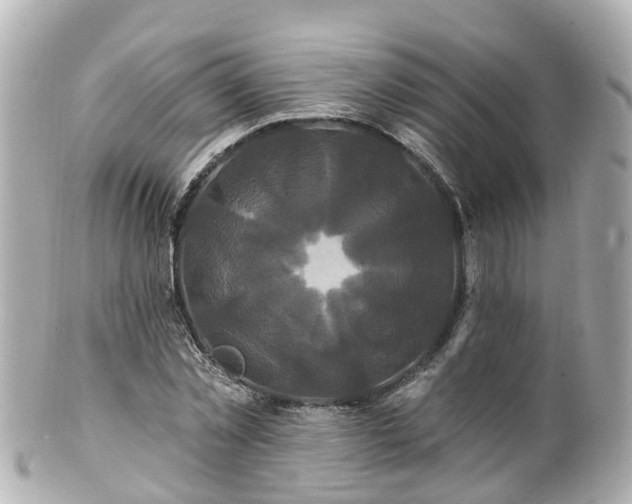 X0000100920781200807011306