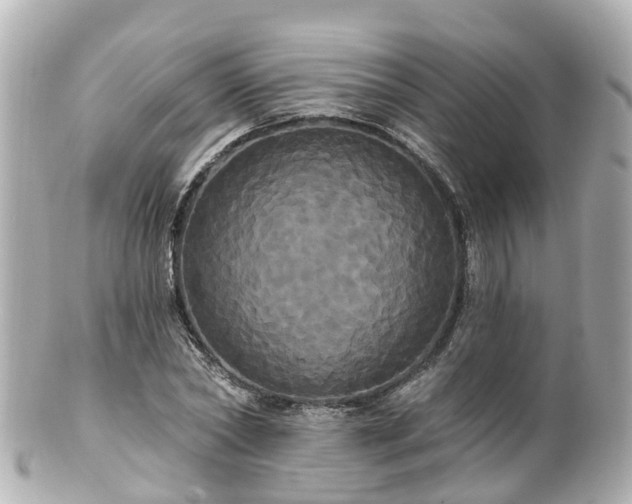 X0000100920782200807011306