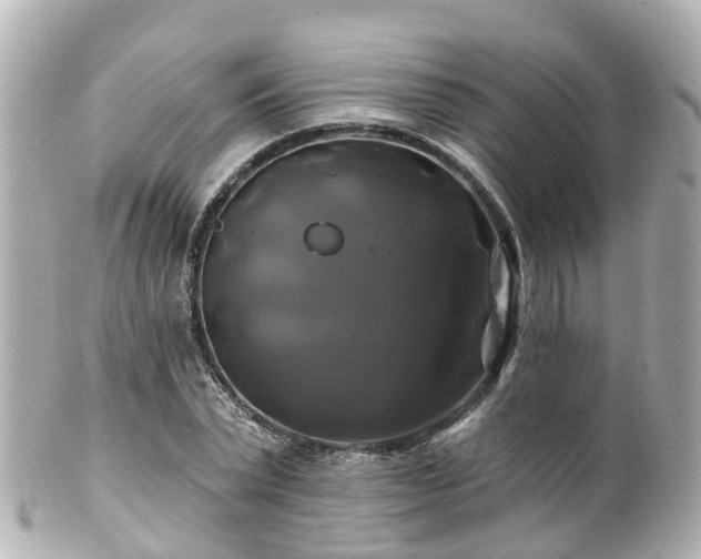 X0000100920783200807011306