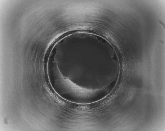 X0000100920784200807011306