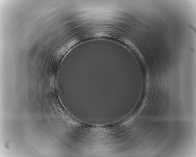 X0000100920785200807011306