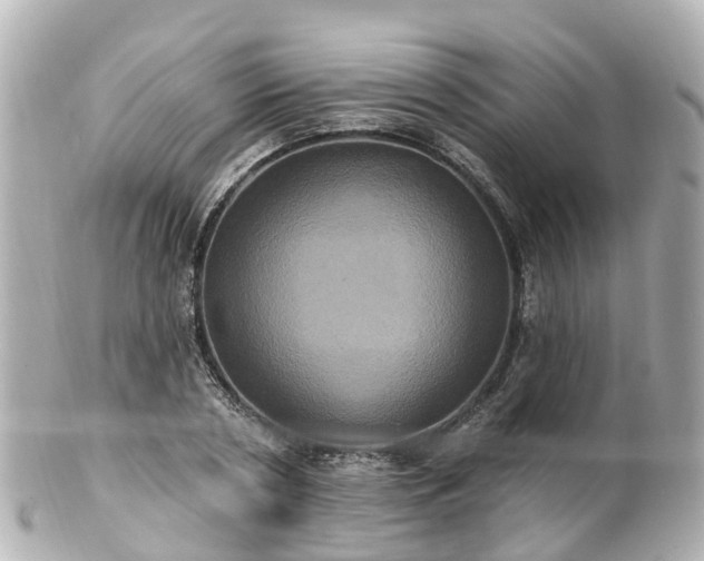 X0000100920786200807011306