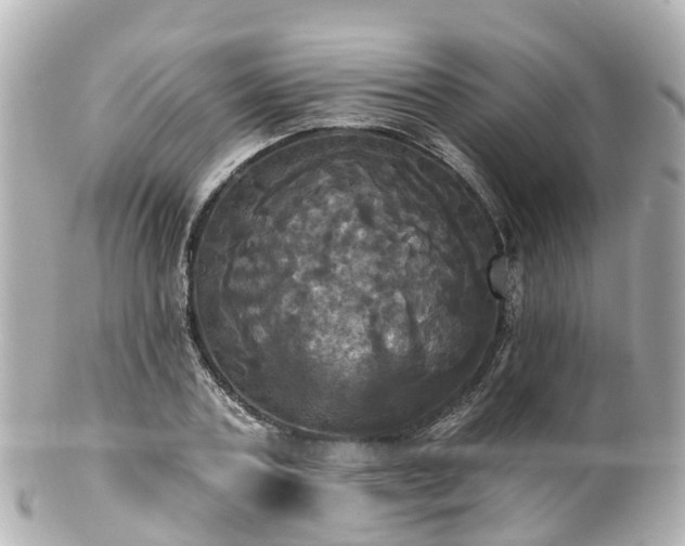 X0000100920787200807011306