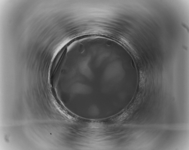 X0000100920788200807011306