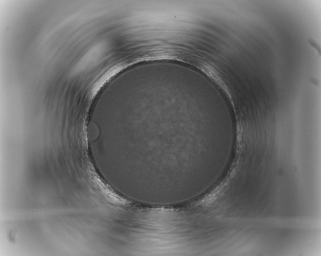 X0000100920789200807011306