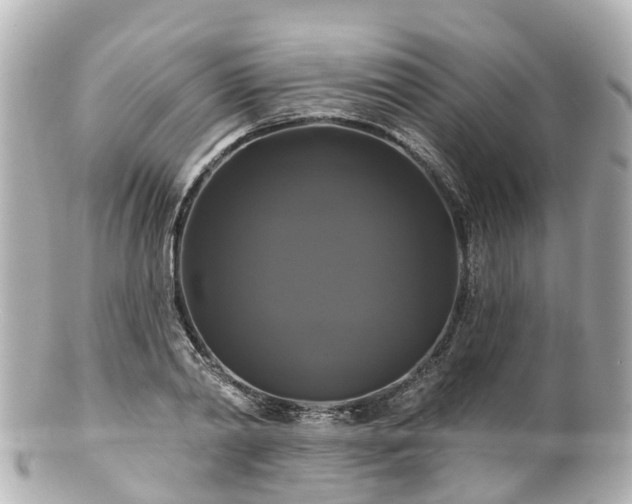 X0000100920790200807011306