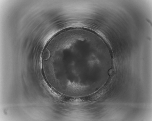 X0000100920791200807011306