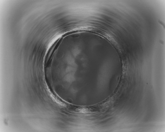 X0000100920792200807011306