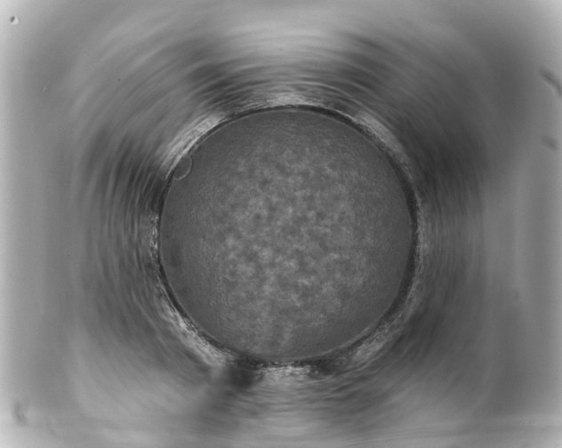 X0000100920793200807011306