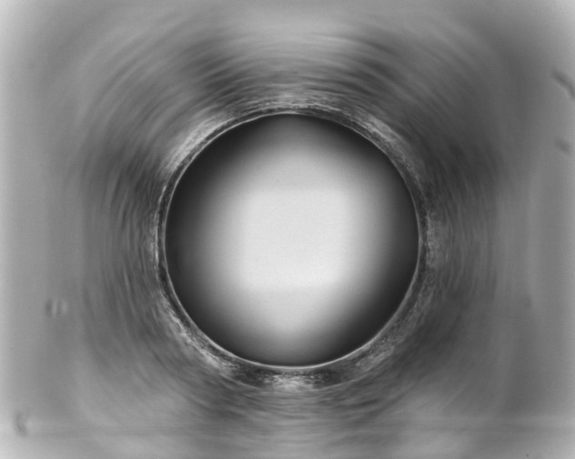 X0000100920794200807011305