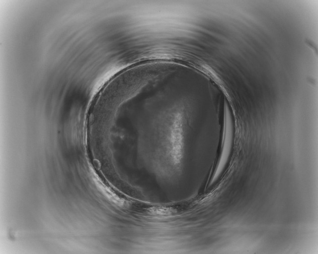 X0000100920795200807011305