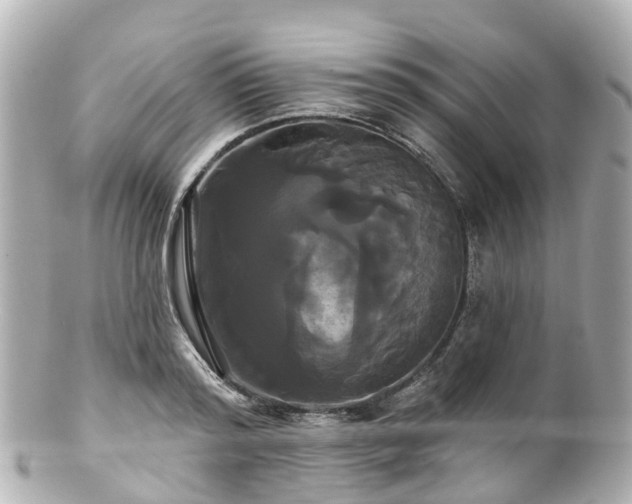 X0000100920796200807011305