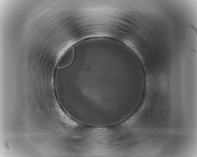 X0000100920797200807011305