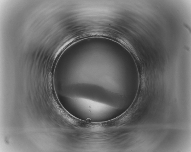 X0000100920798200807011305