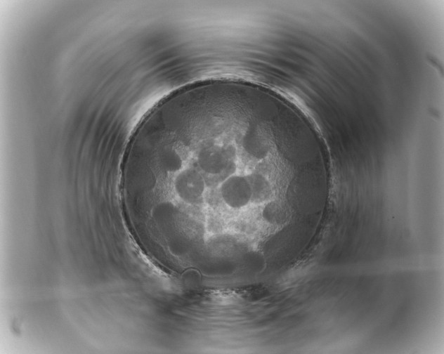 X0000100920799200807011305