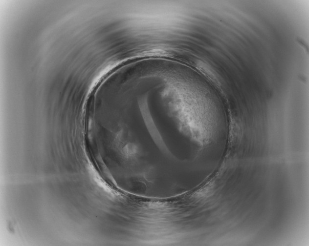 X0000100920800200807011305