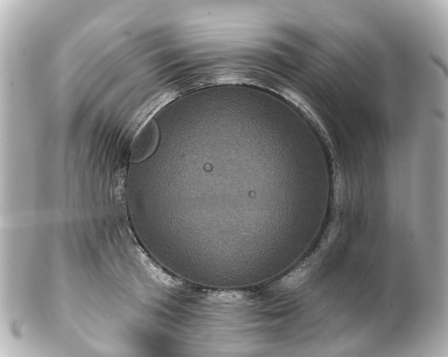 X0000100920801200807011305