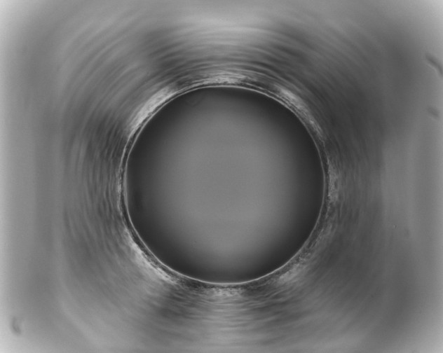 X0000100920802200807011305