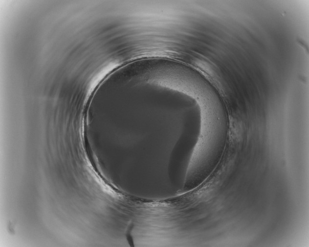 X0000100920804200807011305