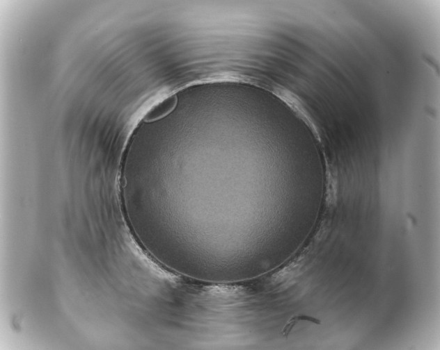 X0000100920805200807011305